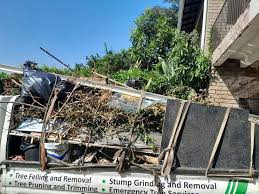 Best Property Management Cleanouts  in Las Animas, CO