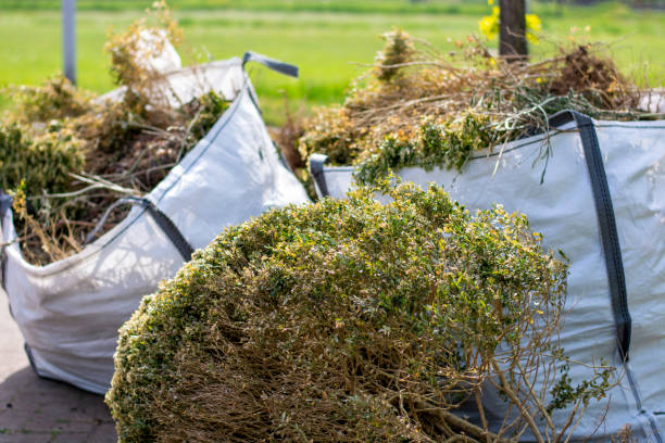 Best Electronics and E-Waste Disposal  in Las Animas, CO